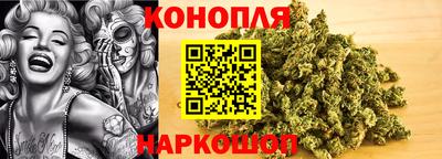 прущие крисы Белореченск
