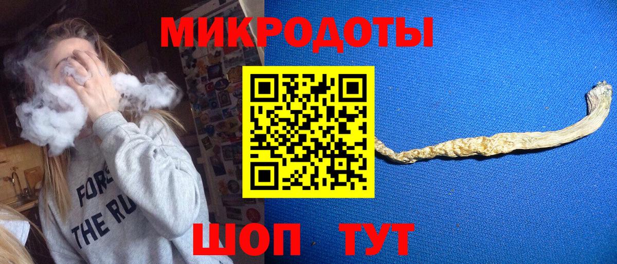 Галлюциногенные грибы Psilocybe Черкесск