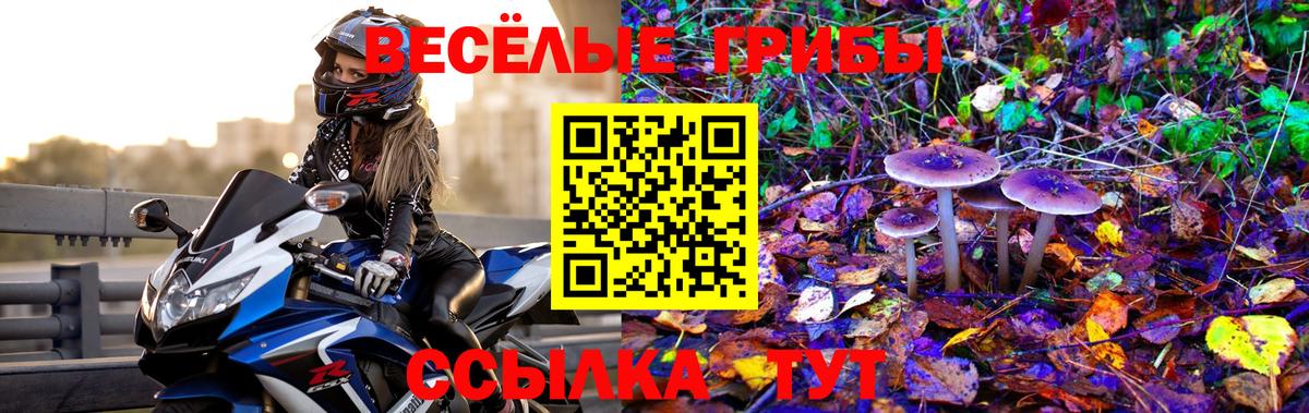 Черкесск  Псилоцибиновые грибы Psilocybe  Вход с VPN  Галлюциногенные грибы мицелий 